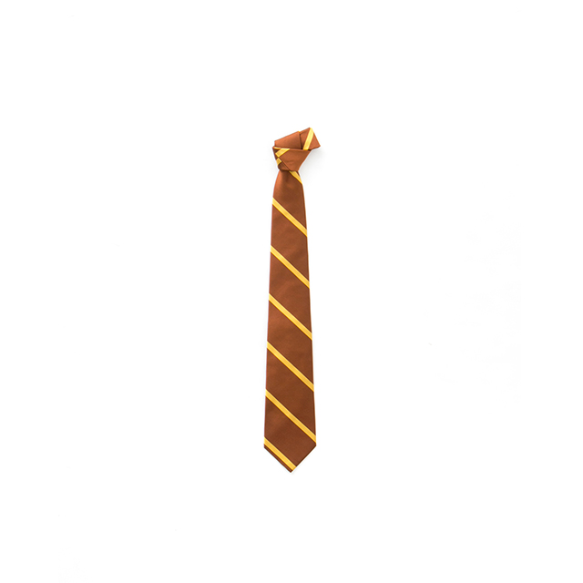 REP SINGLE STRIPE TIE